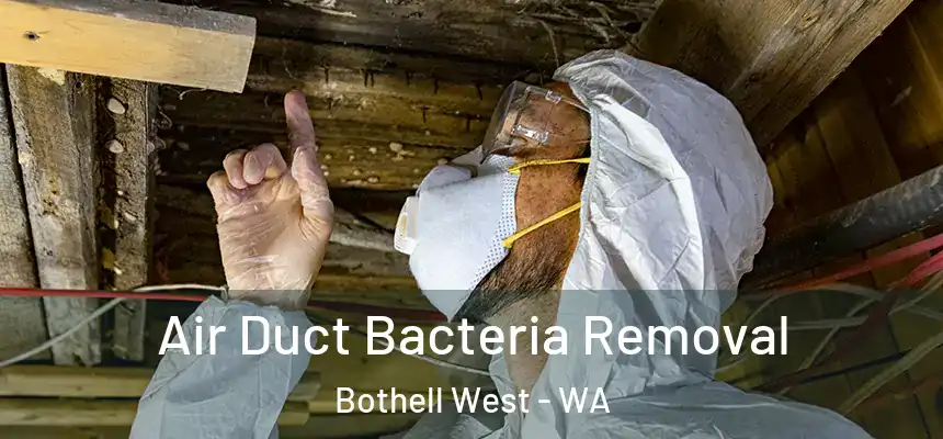 Air Duct Bacteria Removal Bothell West - WA