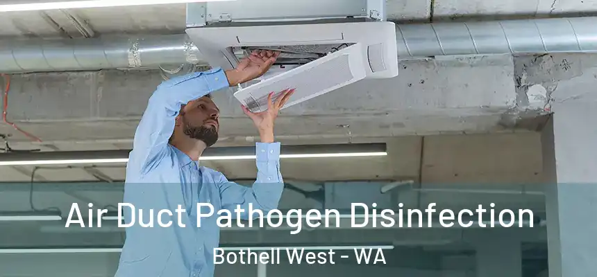  Air Duct Pathogen Disinfection Bothell West - WA