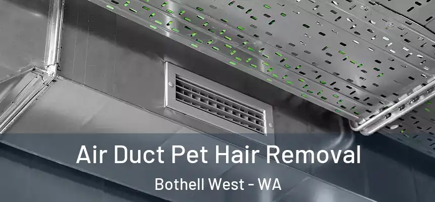  Air Duct Pet Hair Removal Bothell West - WA