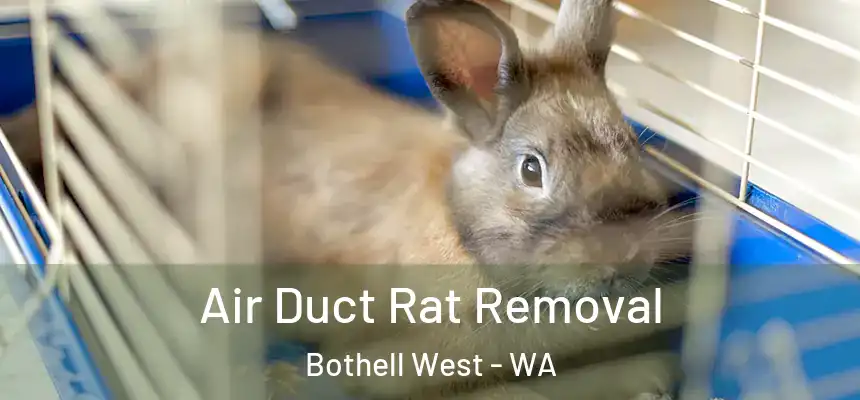 Air Duct Rat Removal Bothell West - WA
