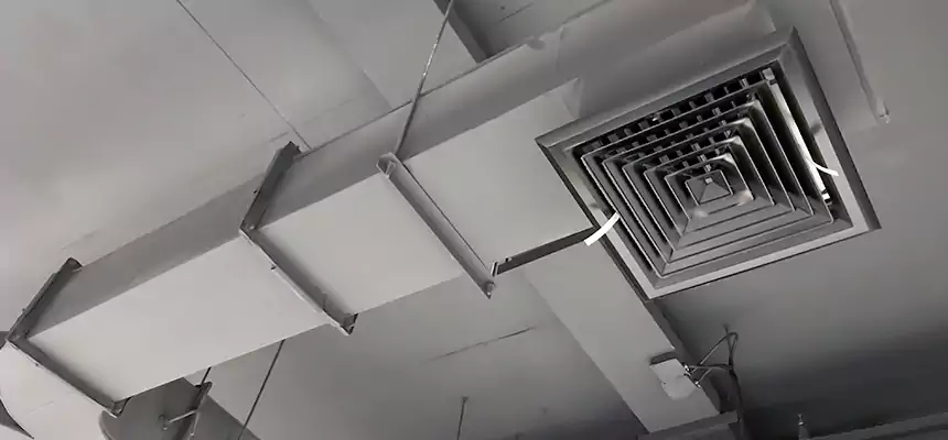 Restorative Allergy Relief Vent Cleaning – Coil, Blower & Housing Detail in Bothell West