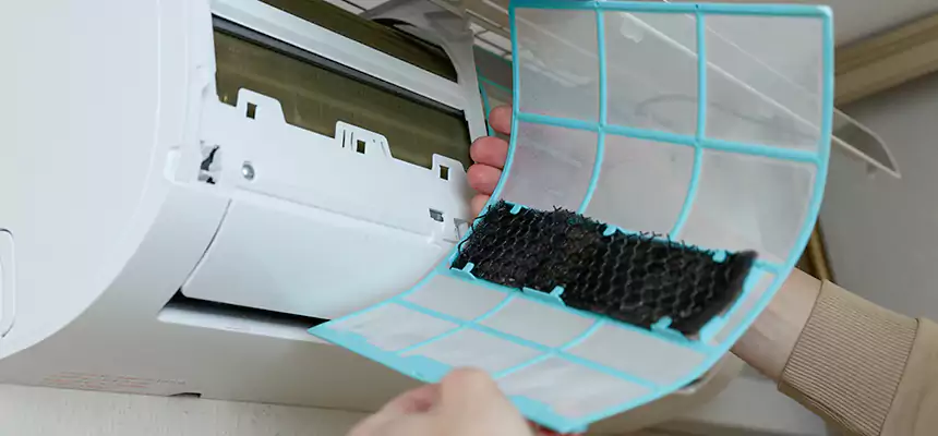 Gentle Ductwork Odor-Control Pet Dander Duct Cleaning in Bothell West, WA