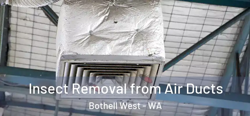  Insect Removal from Air Ducts Bothell West - WA
