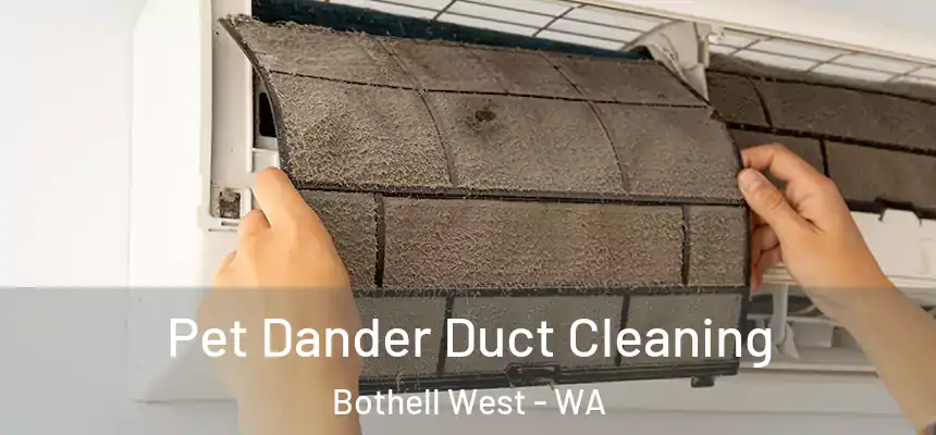 Pet Dander Duct Cleaning Bothell West - WA