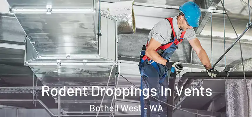  Rodent Droppings In Vents Bothell West - WA