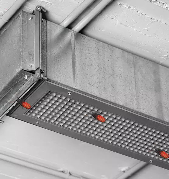 About Air Duct Cockroach Removal in Bothell West, WA