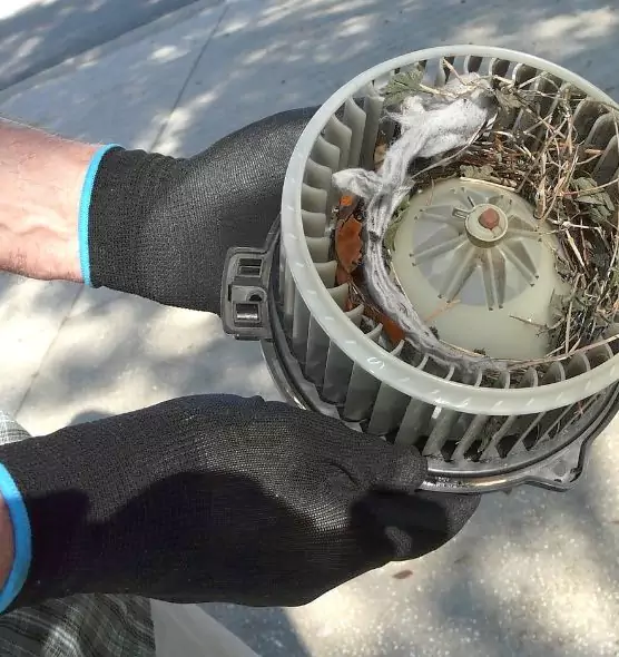 About Air Duct Mice Removal in Bothell West, WA