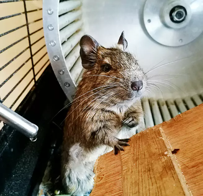 Why Homeowners & Businesses Trust Us Bothell West, WA