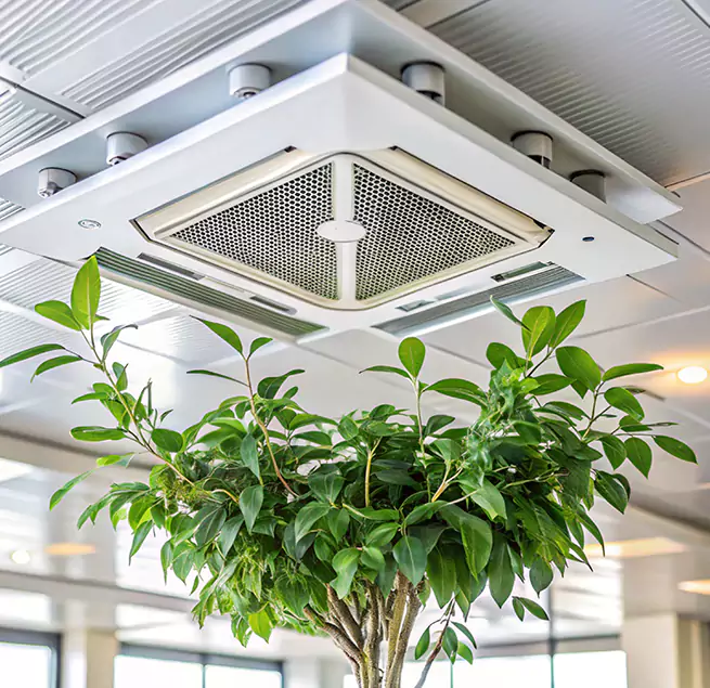 Why Homeowners & Businesses Trust Us in Bothell West, WA?