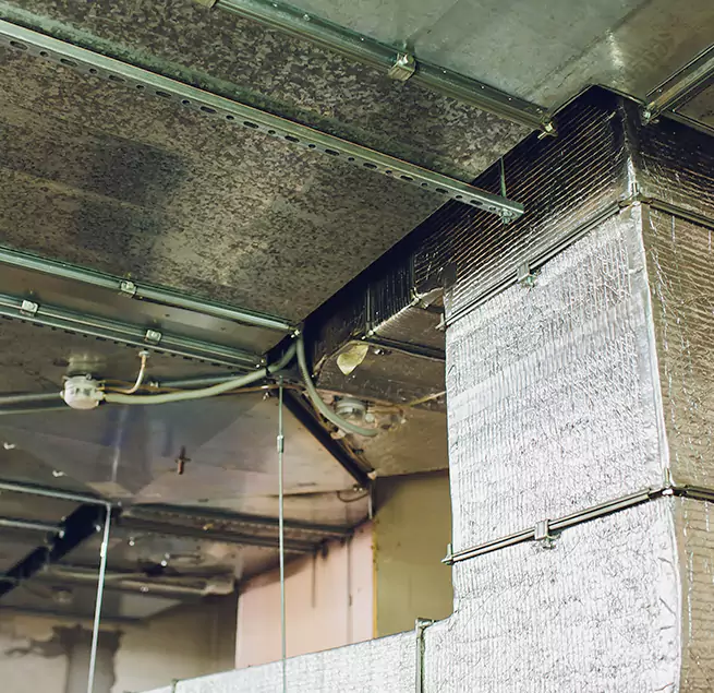 Why Homeowners & Businesses Trust Us in Bothell West, WA?