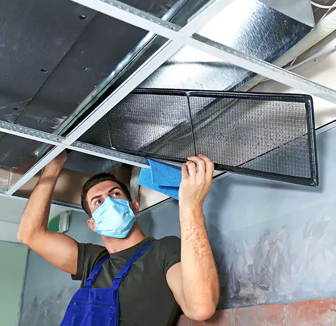 Why Homeowners Businesses Trust Us in Bothell West, WA